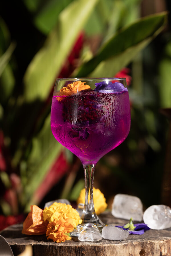 Medayork Tonic (Selva)