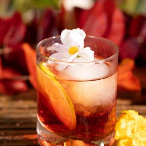 Negroni