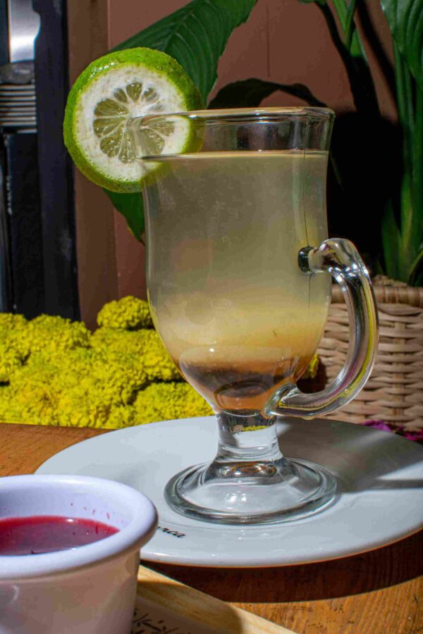 Infusión Matriarca