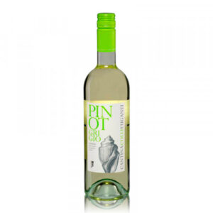 Cantina Colli Eugani Pinot Gris
